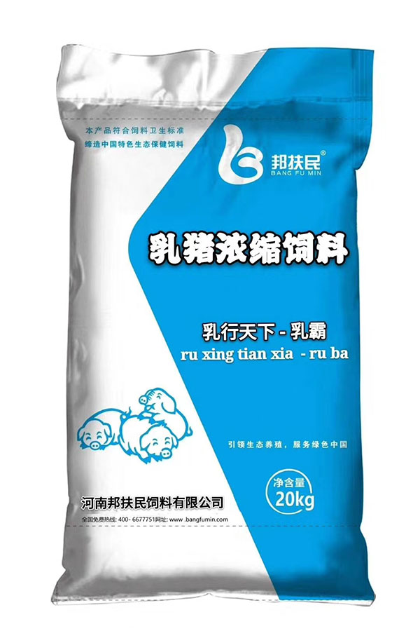 乳豬午夜福利小电影在线观看